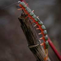 Westin Centipede Creaturebait 9.5cm